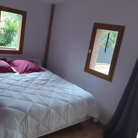Charmant appartement vue sur la rivière. Albi Extérieur photo