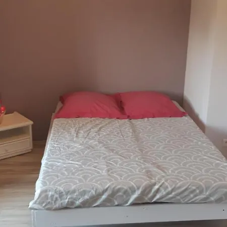 Charmant appartement vue sur la rivière. Albi Extérieur photo